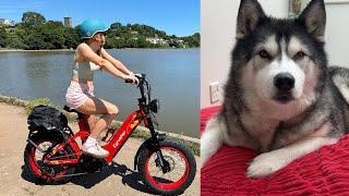 Can’t Believe This Made Me Jump! Husky Helps Review Cyrusher Ovia Bike