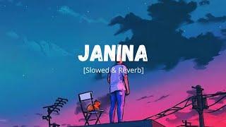 Janina Lofi Version ️ | Slowed & Reverb | Challenge | Nachiketa Chakraborty | Use Headphones 