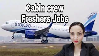 Indigo Cabin Crew Freshers Jobs | 12th Pass Jobs