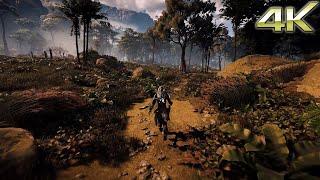 |4K| HORIZON ZERO DAWN / RAYTRACING/ RESHADE PRESET