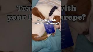 EU Pet Passport for our 9 pets. No family member leave behind #dogs #cat #pets #god