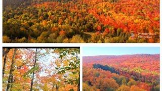 FALL COLORS IN LUTSEN MOUNTAIN MN 2022 SO BEAUTIFUL