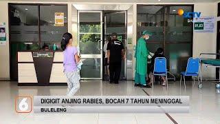 Digigit Anjing Rabies, Bocah 7 Tahun Meninggal | Liputan 6 Bali