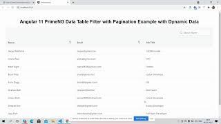 Angular PrimeNG Data Table with Filter Pagination and Dynamic Data