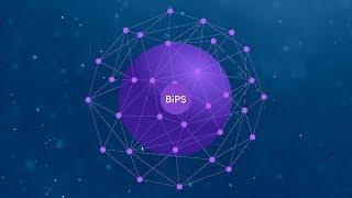 BIPS решения, использование, токен проекта, преимущества.