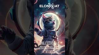 The Meme Revolution Begins with ElonXCat