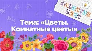 Занятия для дошкольников | Развитие речи | Тема: Цветы. Комнатные цветы