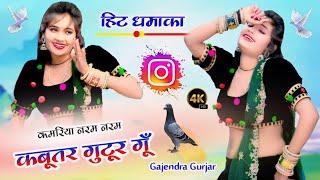 #viral कबूतर गुटूर गूँ । मेरी हिले कमरिया नरम नरम । hit gurjar rasiya 2024 | gajendra gurjar rasiya