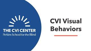 Overview of the CVI Visual Behaviors