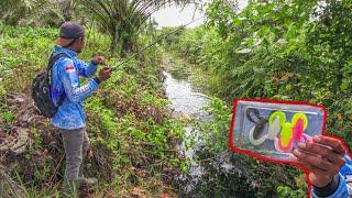 BAHAYA !!! Umpan Ini Dihantam Berbagai Macam Ikan Diparit Kecil Begini 