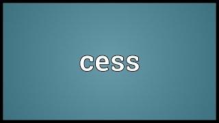 Cess Meaning