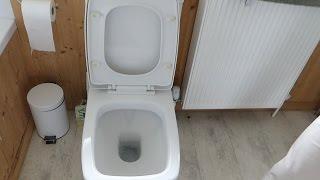 Toilet cistern still running after flushing?