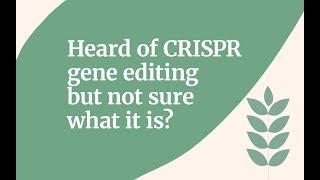 Heard of CRISPR gene editing but not sure what it is? 