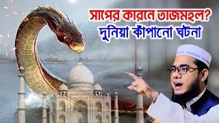 সাপের কারনে কুকুরের কবরে তাজ মহল shahidur rahman mahmudabadi waz bangla new mahfil মাহমুদাবাদী