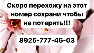 Петимат Есникаева - Новинка️ 89257774503