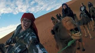 Protravel MOROCCO