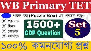 Primary tet exam preparation| wb primary tet exam| cdp class| cdp mcq question|cdp model question