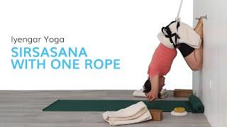 Supported Headstand with ropes--Intermediate Iyengar Yoga