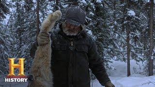 Mountain Men: Marty Pushes Into Cat Country (Season 7, Episode 13) | History