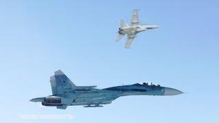 Russian Sukhoi Su-27 Jet Pushes NATO’s F-18 away from Shoigu’s Plane