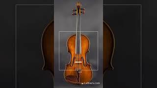 Discover Petko Petkov - Violins built to perfection - Luthiers.com
