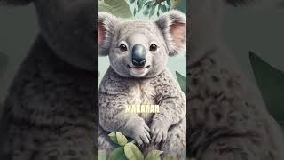 FAKTA MENARIK TENTANG KOALA  #Koala #FaktaMenarik #HewanLucu #Wildlife #Australia #CintaHeWAn