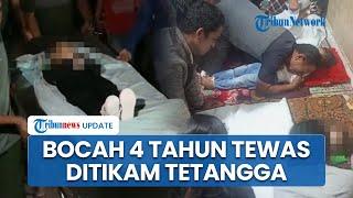 2 Bocah Tewas Ditikam Tetangga di Deli Serdang, Korban Kakak Beradik 1 Masih Kritis, Pelaku Dendam