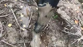 Walking on a dirt road in rubber waders. Part-4(15/09/19)