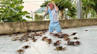 Bibi Was Curious and Panicked when He Saw The Crab!