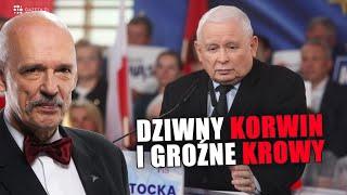 Kaczyński: CHCĄ ZROBIĆ Z NAS ZWIERZĘTA