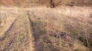 Посадка огорода в феврале/огородный эксперимент/Новая Жизнь РоМашки