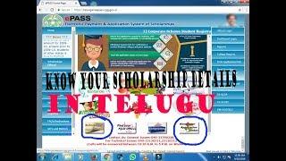 how to Know your scholarship application number and scholarship status in telugu