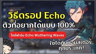 เทคนิคฟาร์ม Echo ตัวที่อยากได้ให้ดรอป 100% (ตัดจากไลฟ์) | Wuthering Waves