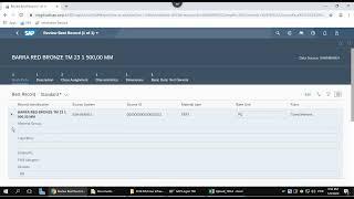 SAP Master Data Governance (MDG) Consolidation Demo