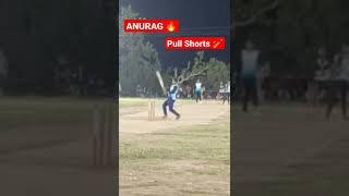 #tenniscricket #cricketlover #cricket #viral #blasterxiofficial #xml #xmlalightmotion