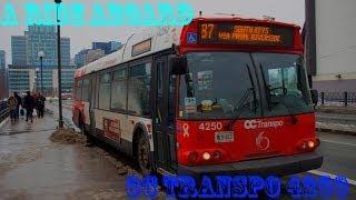 OC Transpo: A Ride Aboard #4250 [HD]