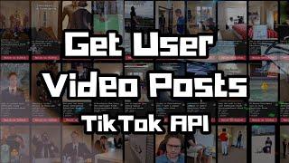 How to get Users Video Posts with the TikTok API
