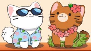 Duet Cats Cute Popcat Music - all NEW SONG, CATS and FOOD