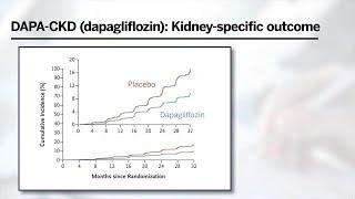 SGLT2 Inhibitors in Chronic Kidney Disease