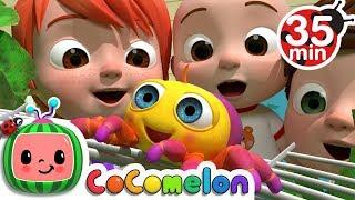 Itsy Bitsy Spider + More Nursery Rhymes & Kids Songs - CoComelon