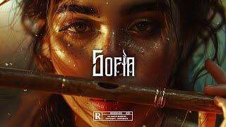 Latin Beat - "SOFIA" | Spanish Afro guitar type beat | Dancehall Instrumental 2024