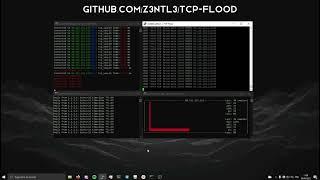 RAW TCP FLOOD - EDUCATIONAL PURPOSES ONLY