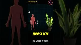 Don't Use Artificial Plant   #short #youtubeshorts #podcast