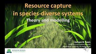 Jochem Evers - Theory & modelling: Resource capture Wageningen Intercropping WinterSchool 2021 ReMIX