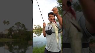 HOW TO CATCH A BASS ON THE FIRST CAST! Every TIME  #bassfishing #bassfishinglife #fishing