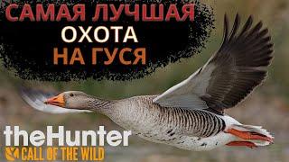 The Hunter Call of the Wild | Самая лучшая гусиная охота в жизни! Охота на гуся