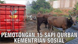 Penyembelihan 15 Sapi Kambing Qurban 2024 Kementrian Sosial RI