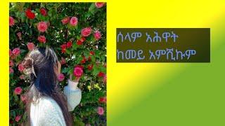 ከመይ  አምሺኩም አሕዋት