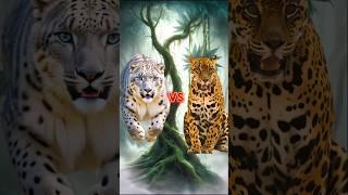 Snow leopard vs Animals & Jurassic World #animalbattle #leopard