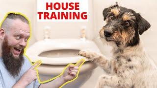 Beginners Guide To House Training A Puppy